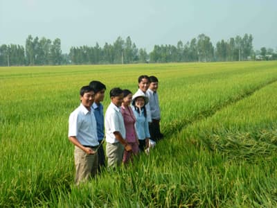 Nâng cao vai trò của khoa học-công nghệ trong phát triển nông nghiệp bền vững