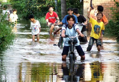 Cần giải pháp đồng bộ, quyết liệt và hiệu quả hơn