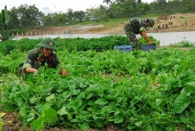 Phát huy nội lực, động viên tự lực, tự cường