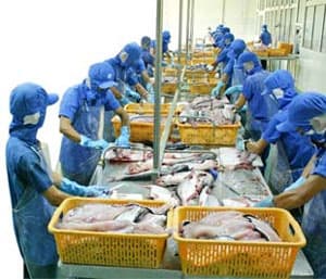 Kim ngạch xuất khẩu thủy sản đạt thấp hơn kế hoạch đề ra