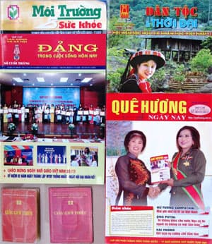 Mạo danh báo chí, hoạt động trái pháp luật