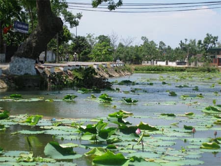 Về quê Bác, tháng Năm