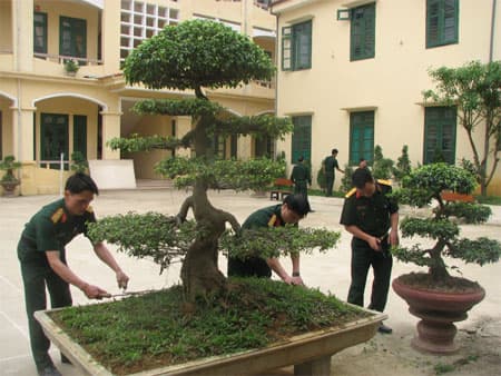 Ghi ở đơn vị có môi trường văn hoá tốt