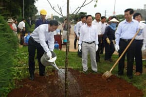Đắk Lắk: mít tinh hưởng ứng ngày môi trường thế giới