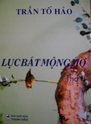 Lời cảnh báo từ "Lục bát mộng mơ"