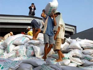 Đề nghị giảm thuế VAT có thời hạn với phân bón, ác-quy, lốp ô tô, xe máy