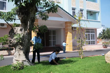 Nghề “làm dâu trăm họ”