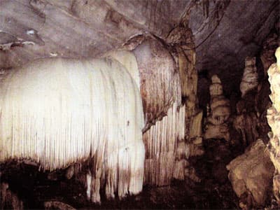 Đôi nét về quần thể động Chi Đảy