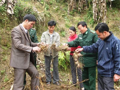 Bộ đội Dương - "già bản" Bản Máy