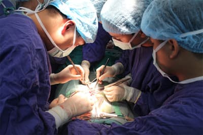 Hà Nội: Thực hiện thành công ca ghép thận đầu tiên trên người