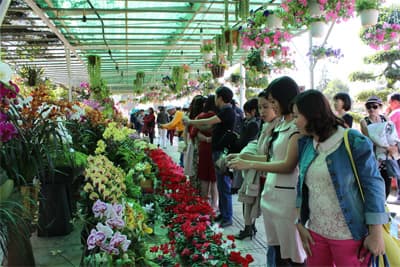 Triển lãm tour du lịch Tây Nguyên-Đà Lạt 2014