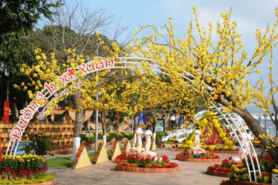 Đường hoa xuân Đà Nẵng rực rỡ sắc màu