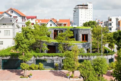 “Giải mã” nhà xanh của Võ Trọng Nghĩa