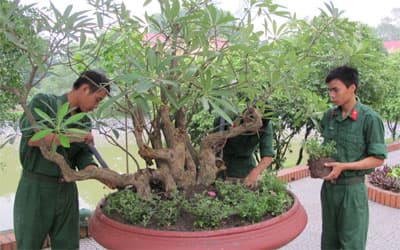 Như bức tranh sơn thủy hữu tình…