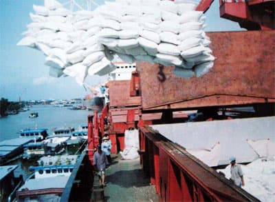Tiếp tục mua tạm trữ 1 triệu tấn gạo vụ hè thu