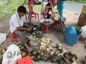 Hóa chất trong đường thốt nốt An Giang không độc