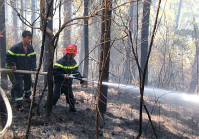 Không quản hiểm nguy, dập lửa cứu rừng đặc dụng Nam Hải Vân