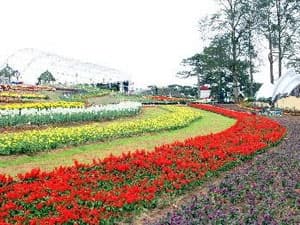 Không gian Trường Sa sẽ đến Festival Hoa Đà Lạt