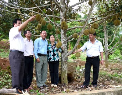 Giải quyết cho 1.450 lao động có việc làm thường xuyên