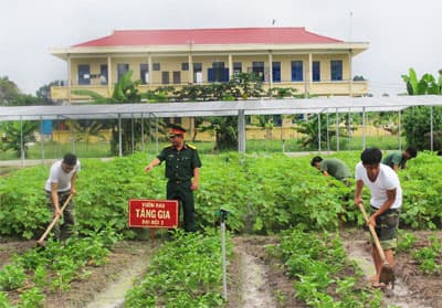 “Thực túc…” ở mái trường lính tăng