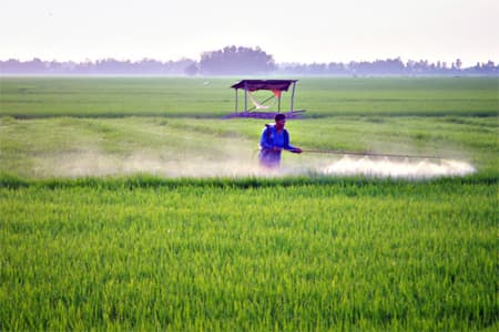 Các nhà sản xuất chối bỏ trách nhiệm