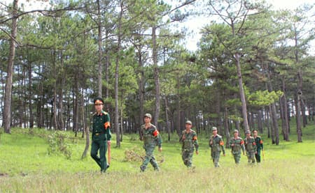 "Pháo đài xanh" giữa lòng thành phố