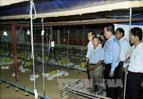 Thu nhập của xã viên là thước đo hiệu quả hoạt động hợp tác xã