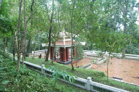 Thiêng liêng rừng Đại tướng!