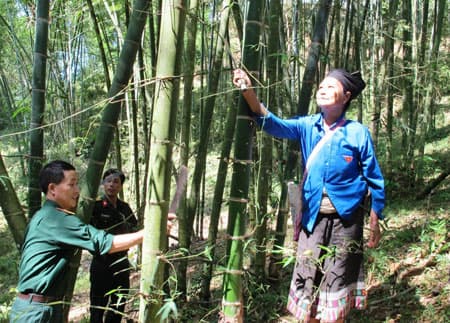 “Búp măng vàng” và đường mới đến trường