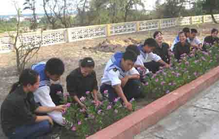 Thông điệp từ Đảo Thanh niên