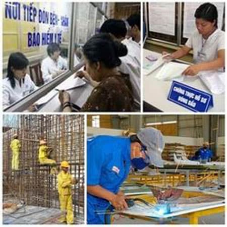 13 Luật có hiệu lực từ ngày 1-1-2015