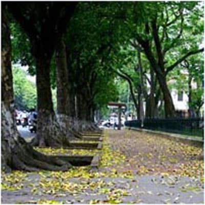 Thời tiết các tỉnh Bắc Bộ tiếp tục hanh khô
