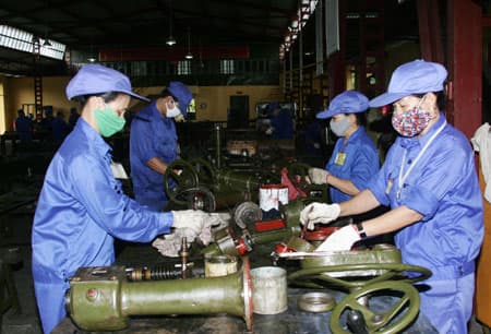 Sức mạnh từ trí tuệ tập thể