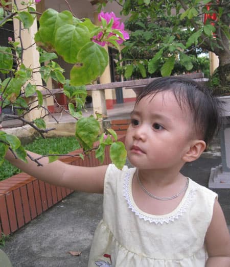 "Đơn vị bố có nhiều cây cảnh đẹp”