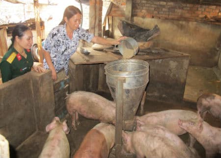 Tổ tiết kiệm giúp nhau vượt khó