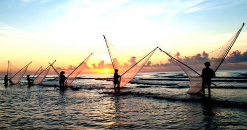 Cận cảnh ngư dân Hải Lý đánh bắt gần bờ
