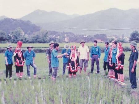 Trí thức trẻ tình nguyện nơi biên cương