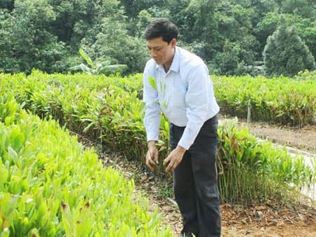 Nghị lực của một tỷ phú nông dân