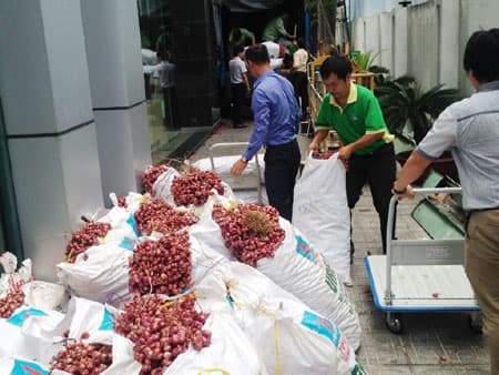 PVFCCo hỗ trợ nông dân xã Vĩnh Châu tiêu thụ gần 10 tấn hành tím