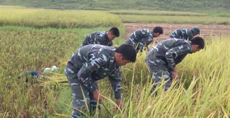 Nơi ta ở… đất hóa tình người