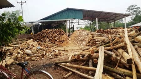 Người thương binh giàu nghị lực