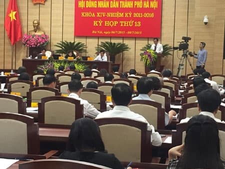 Nói rõ về đề án “Cải tạo, thay thế cây xanh”