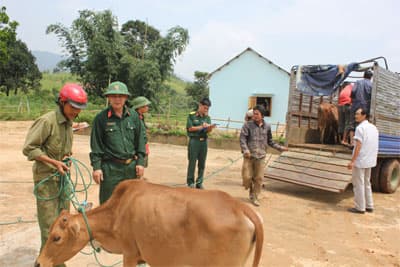 Cảm ơn bộ đội Đoàn Kinh tế - Quốc phòng 337