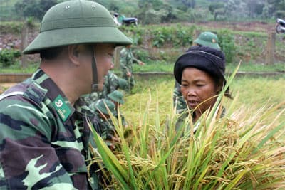 Người Rục ở xã Thượng Hóa đã biết tự trồng lúa nước