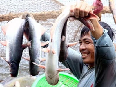 Trao đổi thương mại Việt Nam-Brazil tiếp tục tăng