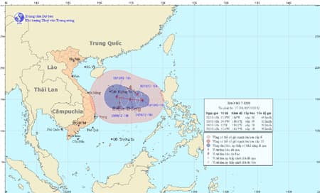 Đã thông báo, hướng dẫn 41.021 tàu tránh, trú bão