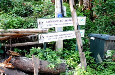Chút phiền lòng bên hồ Ba Bể