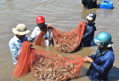 Đẩy mạnh đầu tư, hợp tác kinh doanh tại vùng Đồng bằng sông Cửu Long