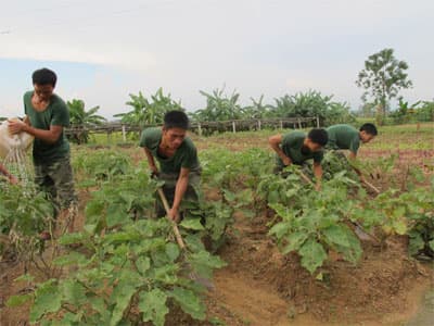 Diễn đàn đối thoại phát huy dân chủ và quyền làm chủ