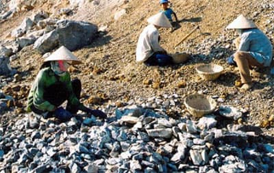 Thất nghiệp trên chính mảnh đất quê hương